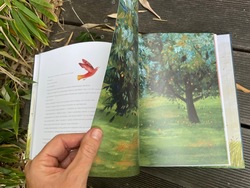 IMG_2209.jpg [sm-250]