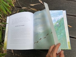 ket_csillag_bolcs_kisgombos_850x635.jpg [md-500]