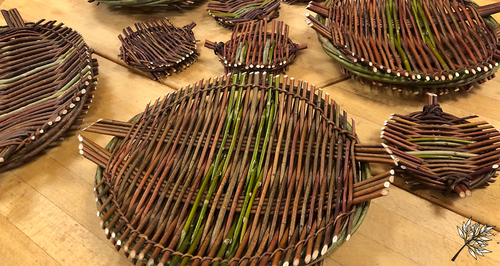 428451953_738876171671344_5880206249585523975_n.jpg [md-500]